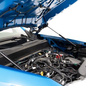 Hood Struts | Hydraulic | Ford Maverick 2WD/4WD (2022-2024)
