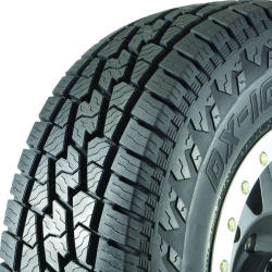 Delinte DX-10 Bandit AT LT285/75R16 (32.8x11.3R 16)