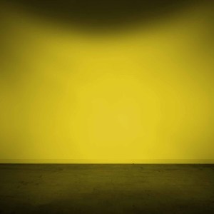 Lens Only: 4Banger (Yellow / Flood / Each)